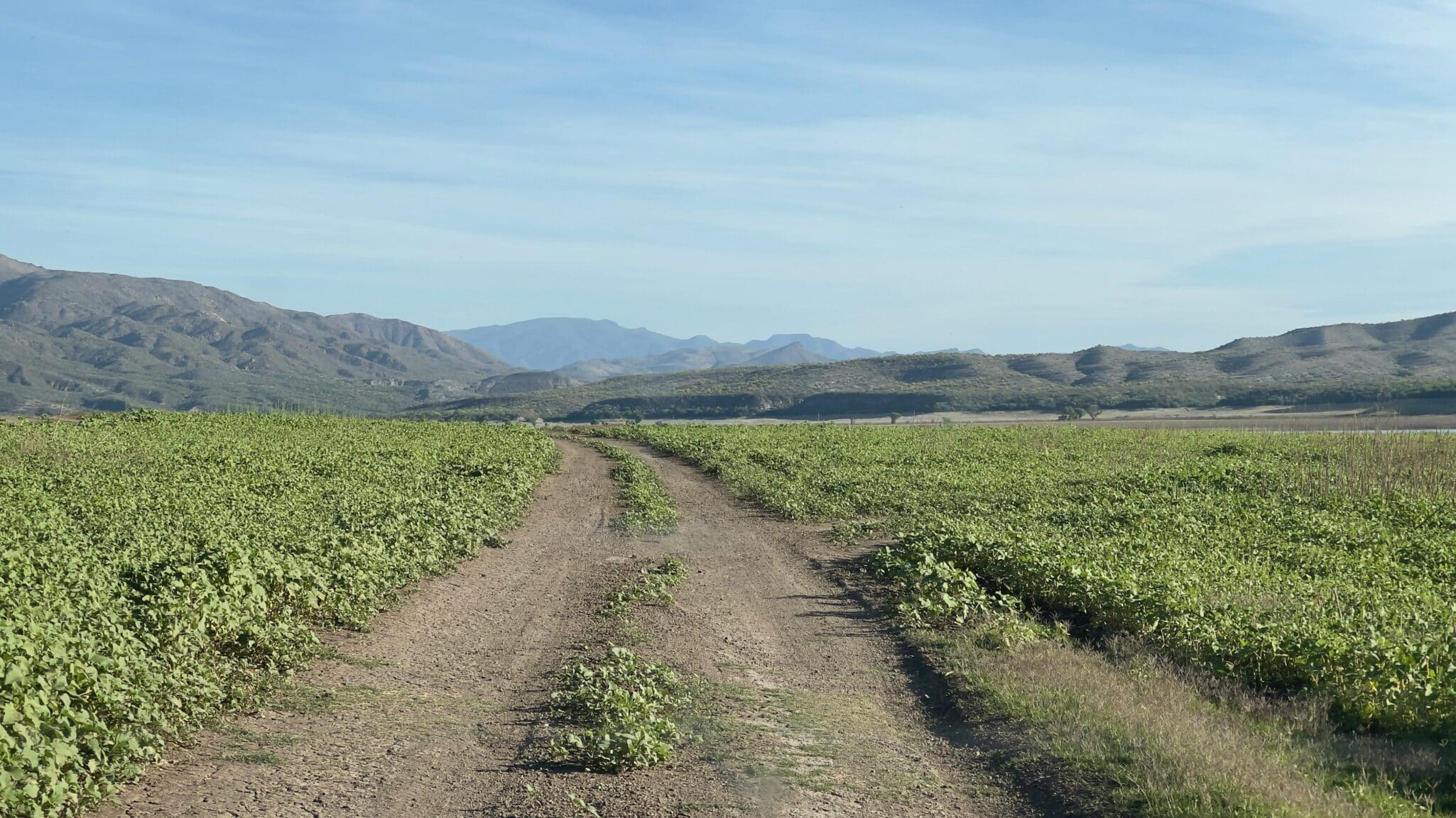UpTerra appoints Debra Baker as CFO to drive operational efficiency and scalability, strengthening its mission to support farmers.
