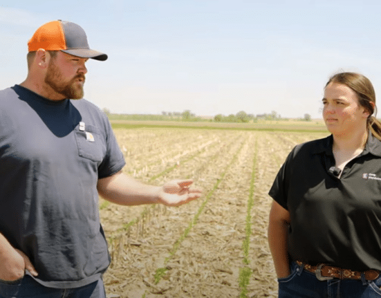 Meristem MaxStax Soybean topped liquid seed treatments in the 2025 Soybean Systems Management Trial at the University of Illinois Urbana-Champaign.