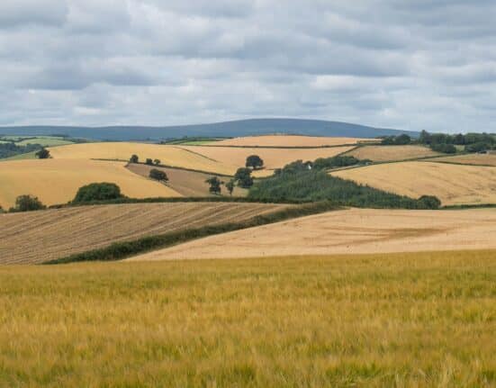 UpTerra appoints Dr. Shiv Tiwari as Chief Science Officer to advance TerraFlow irrigation tech and drive water efficiency innovation.