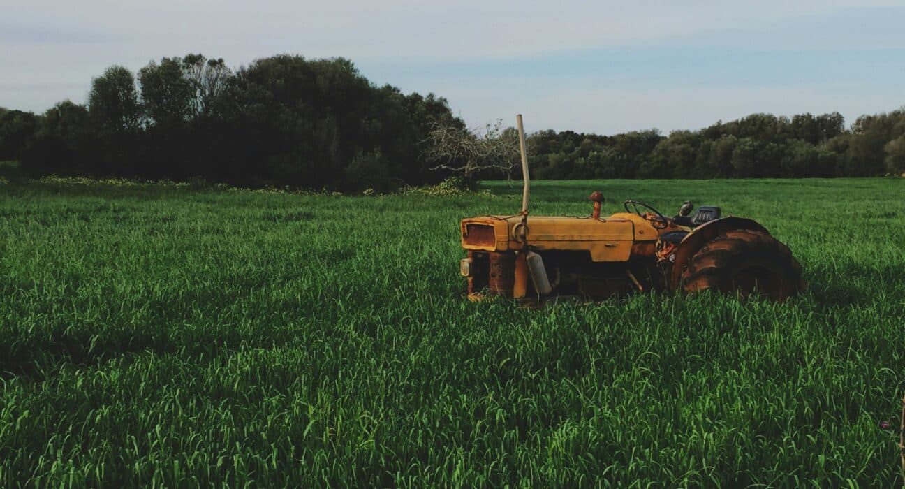 Prairie View A&M’s 770-acre Farm & Ranch integrates research, tech, and education as a model for sustainable agriculture.