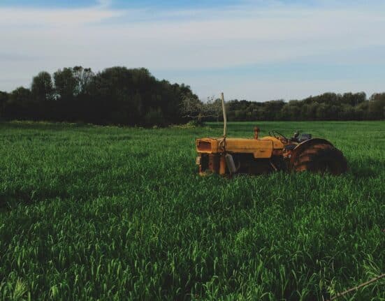 Prairie View A&M’s 770-acre Farm & Ranch integrates research, tech, and education as a model for sustainable agriculture.