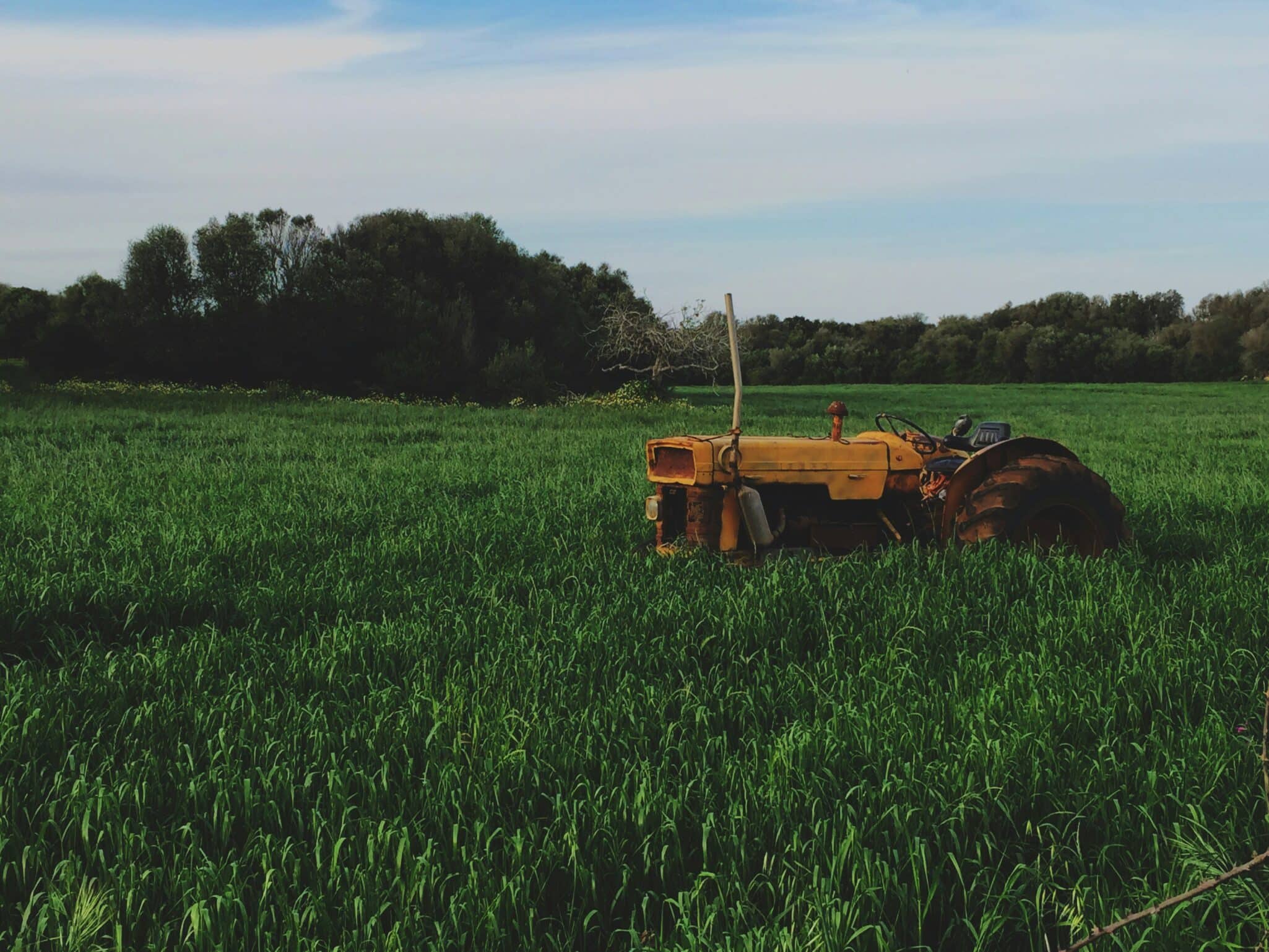 Prairie View A&M’s 770-acre Farm & Ranch integrates research, tech, and education as a model for sustainable agriculture.