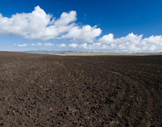 Cornucopia joins “We the Soil” for Organic Month, mobilizing support for farmers, soil health, and stronger organic integrity.