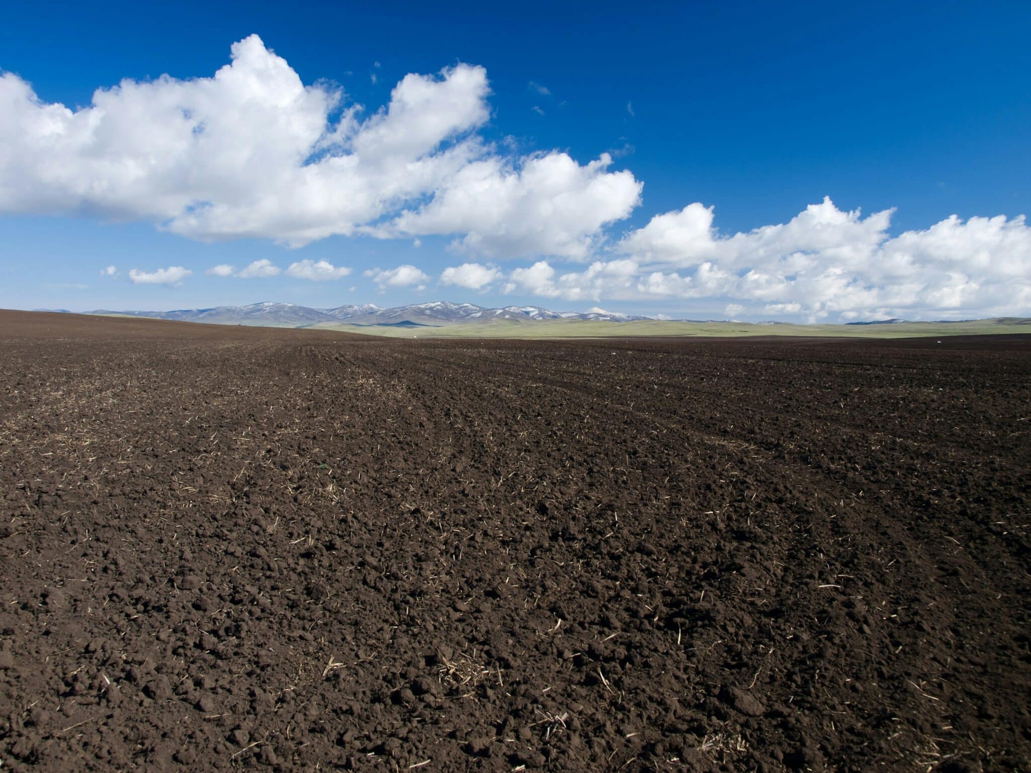 Cornucopia joins “We the Soil” for Organic Month, mobilizing support for farmers, soil health, and stronger organic integrity.