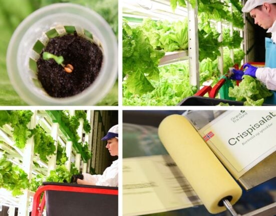 Grønt fra Nord sustainable food production, has announced the successful completion of a USD 1.2 million convertible financing round.