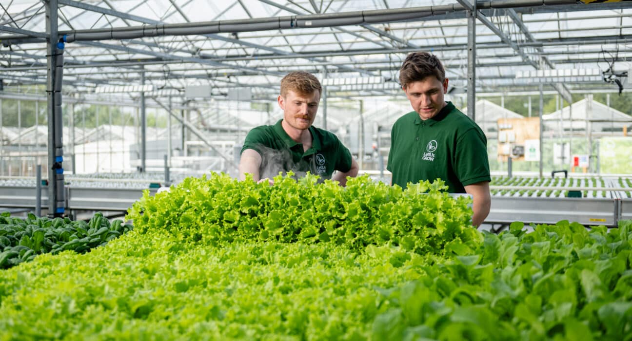 LettUs Grow joined the QuBOOSTR consortium, a precision breeding initiative aimed at establishing a sustainable, UK sourced natural rubber.