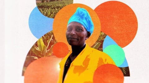 Project Dandelion and IFAD launch global campaign urging COP30 leaders to invest in women smallholder farmers driving climate resilience.