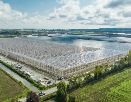 Windset Farms® has announced a new 38-acre expansion at its Delta, BC facility, increasing its total lit greenhouse production to 85 acres.