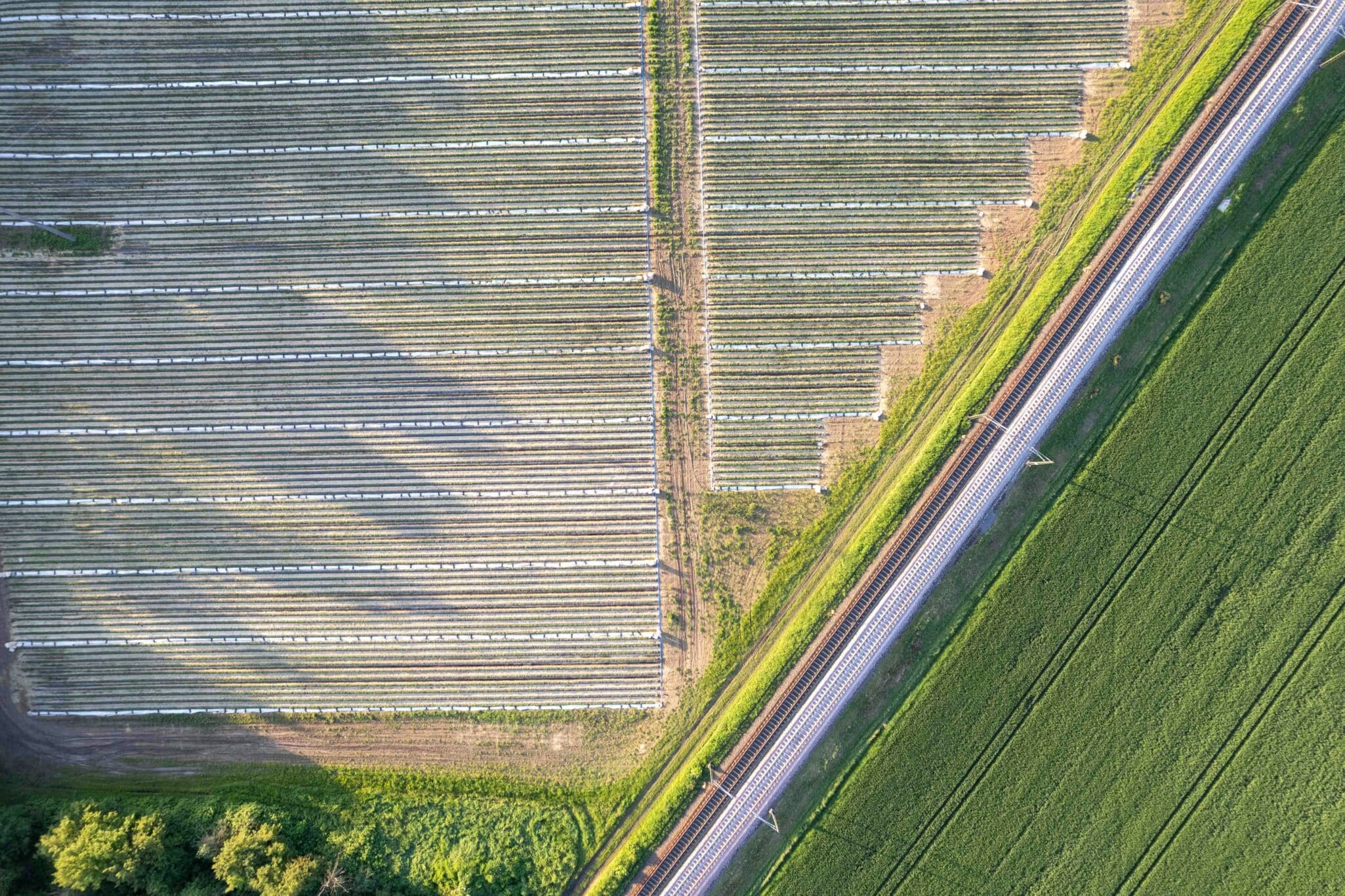 Sotus International adopts SAP Cloud ERP to boost efficiency, accuracy, and sustainability across Thailand’s agricultural value chain.