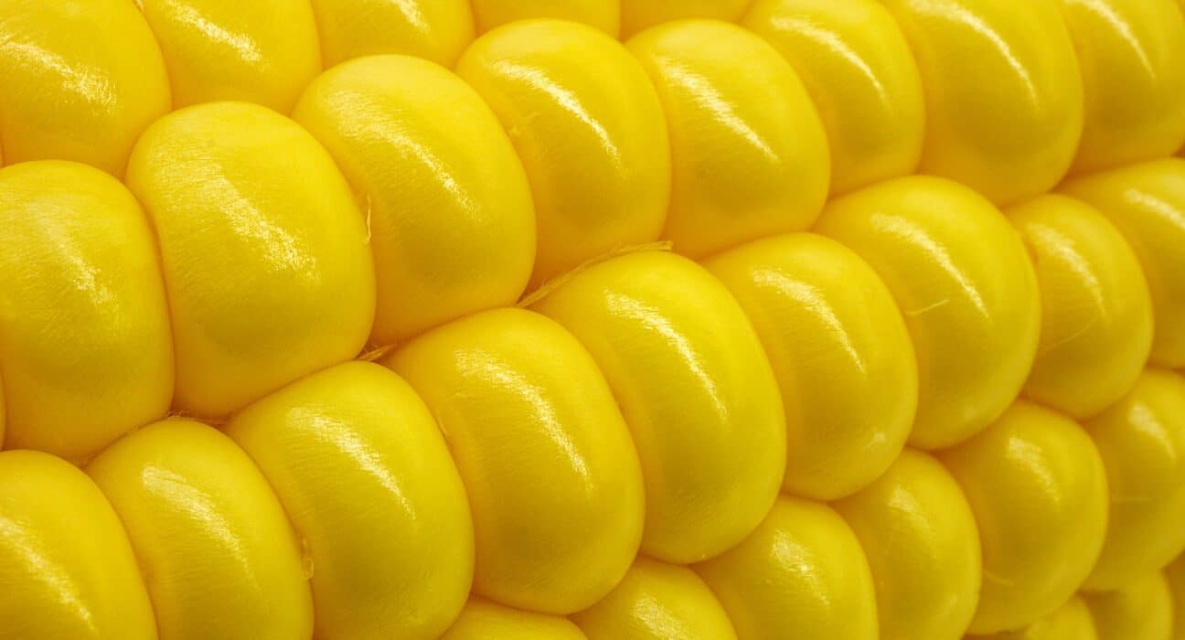 Genvor (OTCQB: GNVR) and the USDA have been granted U.S. Patent No. 12,458,684 for “Transgenic Corn with Antifungal Peptide AGM182,” designed to protect maize from fungal pathogens.