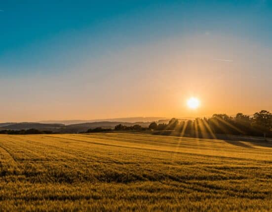 Ecosystem Investment Partners (EIP) announced the final close of EIP V with more than $400 million in capital commitments.