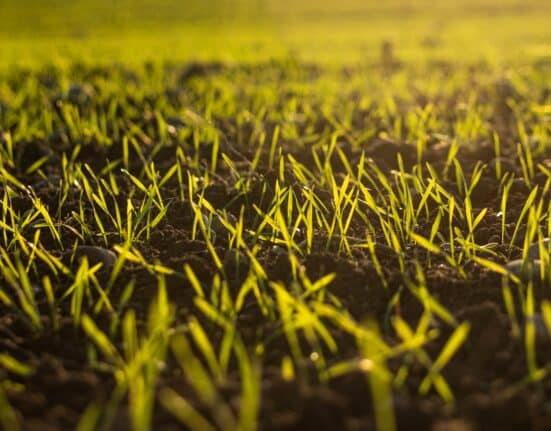 Profluent Bio and Corteva partner to apply generative AI and gene editing to create more sustainable, resilient next-generation crops.