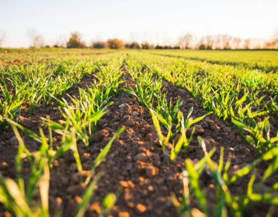 KhetiBuddy has rebranded as Verdnt, reflecting its mission to deliver smarter, more sustainable insights for agri-businesses.