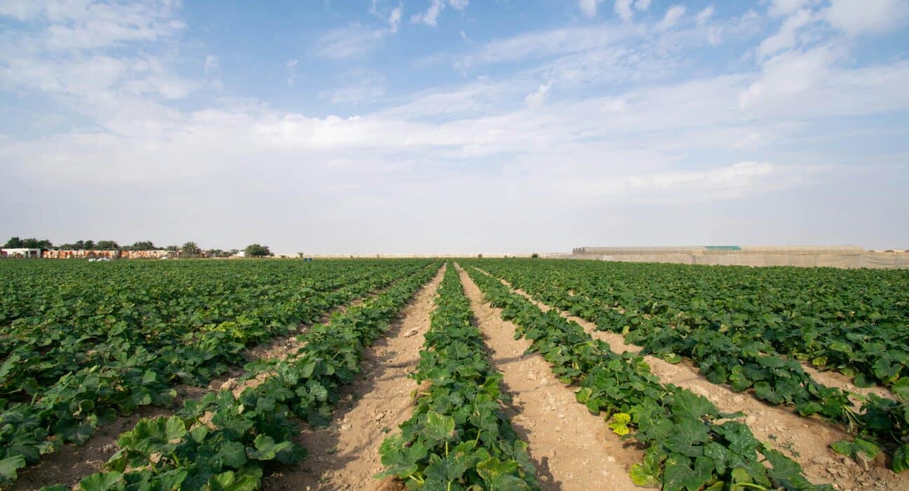 Advancing Eco Agriculture and Market Gardener Institute partner to equip small-scale growers with regenerative tools, science, and training.