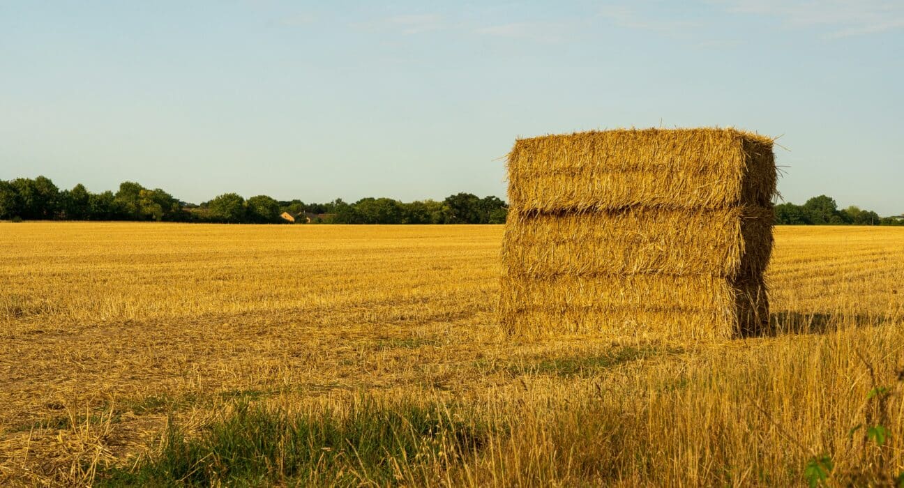 JSR Farming has acquired Isuria (formerly Yorkshire Feedstuffs), expanding its footprint in the agricultural feed and commodity sectors.