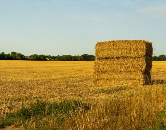 JSR Farming has acquired Isuria (formerly Yorkshire Feedstuffs), expanding its footprint in the agricultural feed and commodity sectors.