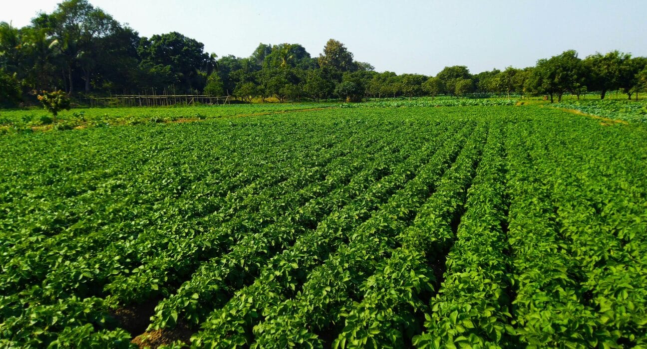 MBEP advances AgTech innovation and workforce programs on California’s Central Coast through state-backed Jobs First Initiative grants.