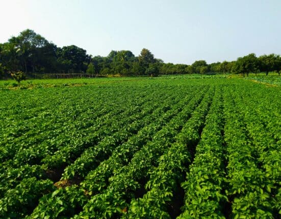 MBEP advances AgTech innovation and workforce programs on California’s Central Coast through state-backed Jobs First Initiative grants.