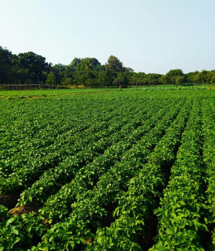 MBEP advances AgTech innovation and workforce programs on California’s Central Coast through state-backed Jobs First Initiative grants.