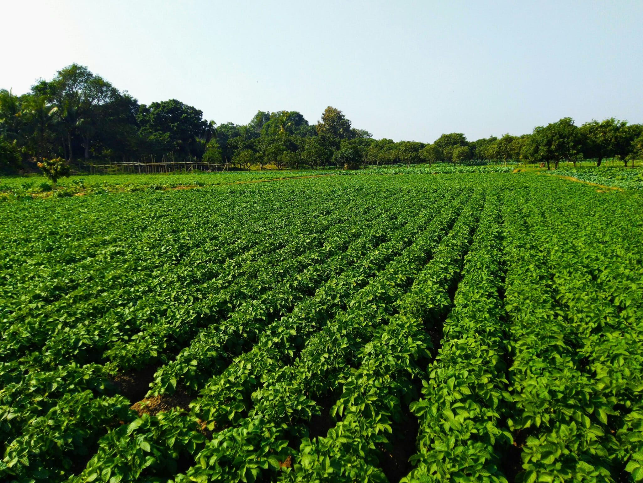 MBEP advances AgTech innovation and workforce programs on California’s Central Coast through state-backed Jobs First Initiative grants.