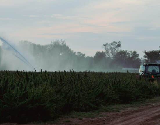 Mandala Capital secures $36M from the Green Climate Fund for its $250M SSEA Food Fund to scale climate-smart agribusiness in Asia.