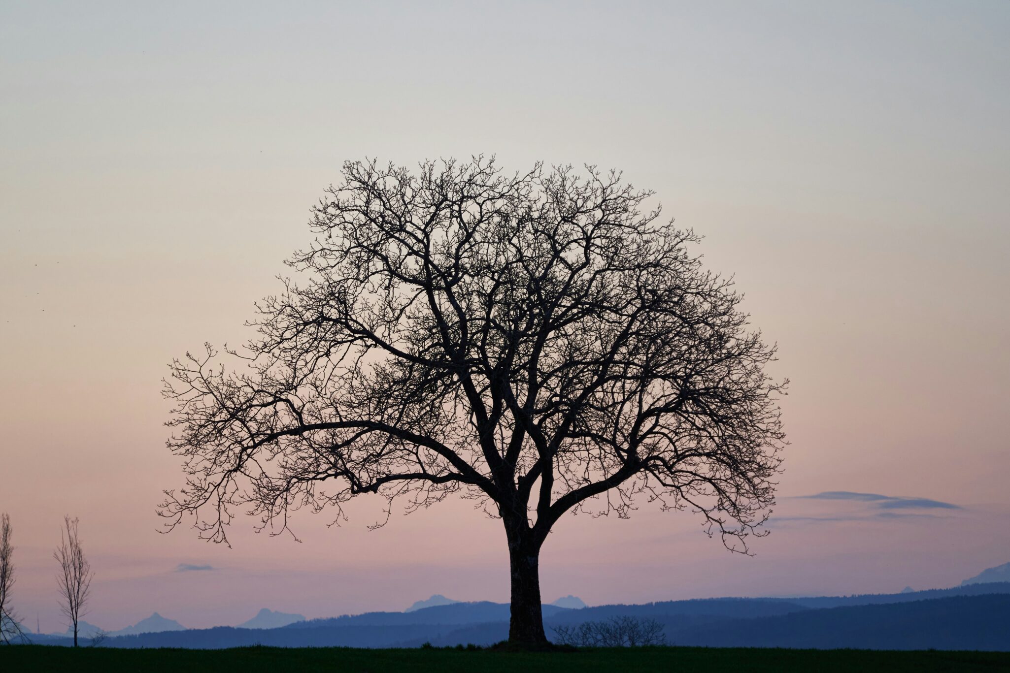WisdomTree acquires Ceres Partners, marking entry into private markets with a farmland platform offering diversification and growth.