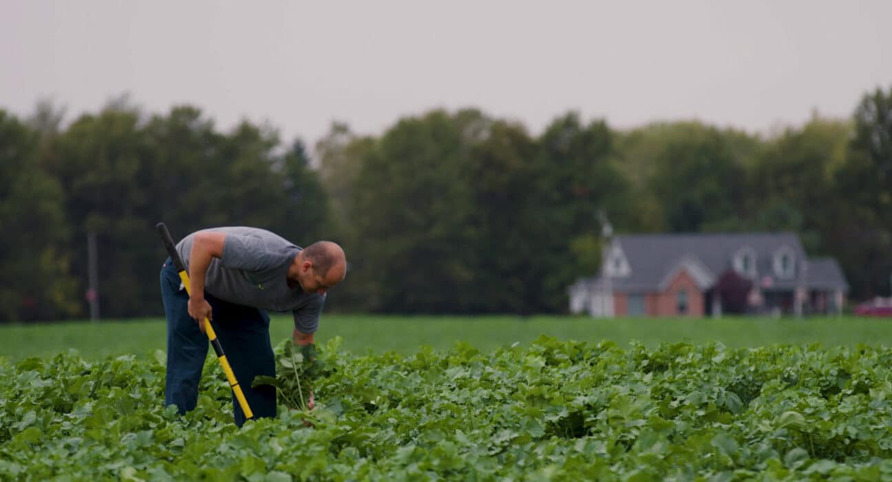 Honda is purchasing soil carbon removal credits through Carbon by Indigo, supporting the removal of 1,800 metric tons of CO₂.