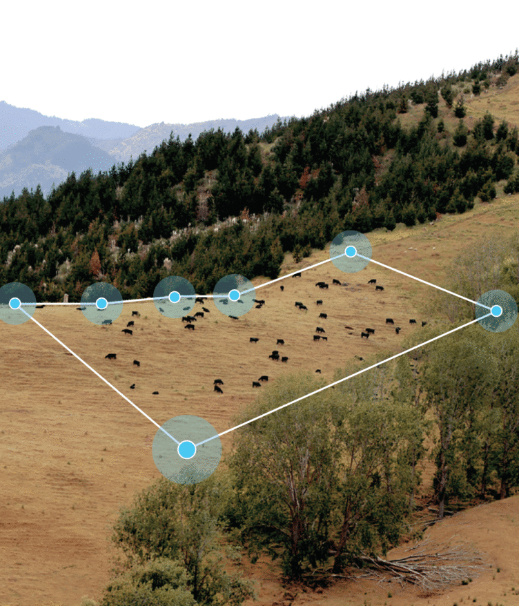 Halter announced that U.S. ranchers using its GPS-enabled smart collars have created more than 11,000 miles of virtual fencing.