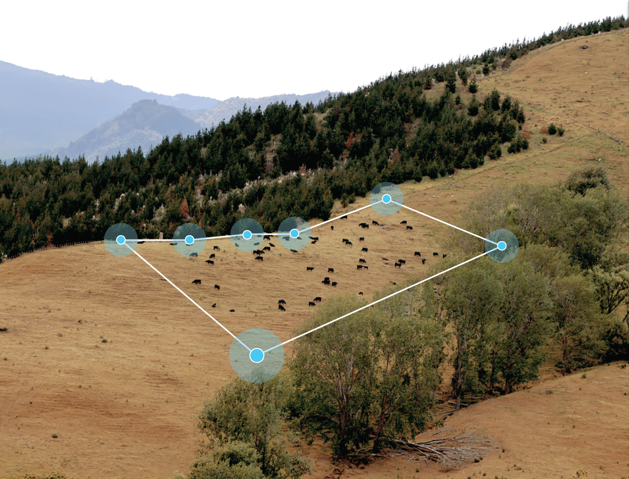 Halter announced that U.S. ranchers using its GPS-enabled smart collars have created more than 11,000 miles of virtual fencing.