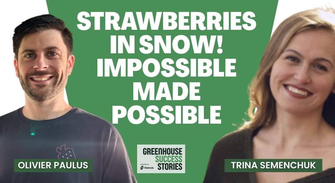 Olivier Paulus shares insights on Vertiberry's journey from Belgium to Canada and year-round strawberry production in Québec.