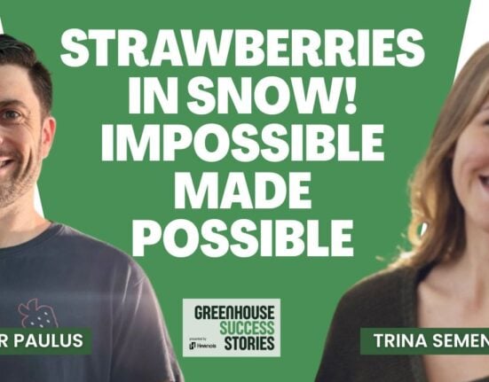 Olivier Paulus shares insights on Vertiberry's journey from Belgium to Canada and year-round strawberry production in Québec.