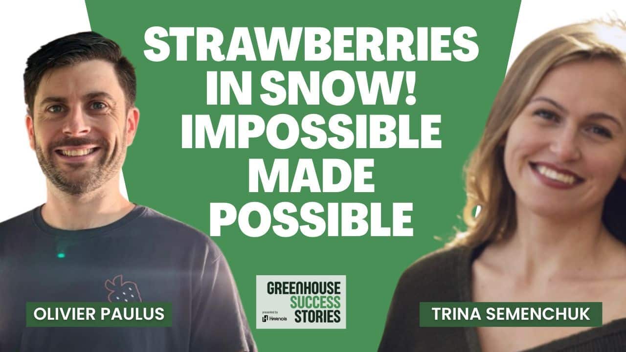 Olivier Paulus shares insights on Vertiberry's journey from Belgium to Canada and year-round strawberry production in Québec.