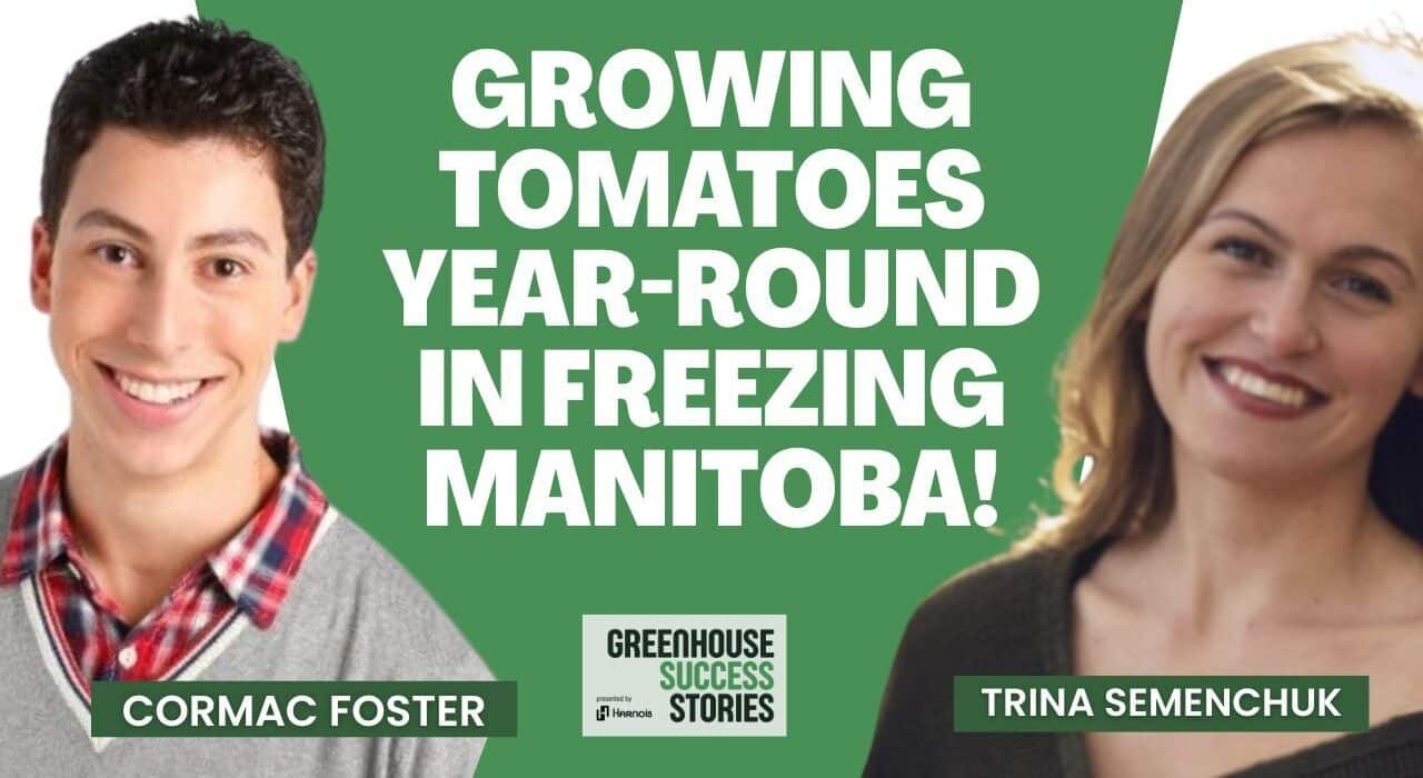 Vermillion Growers explains how they approached building a greenhouse in Manitoba despite long winters and extreme temperature swings.