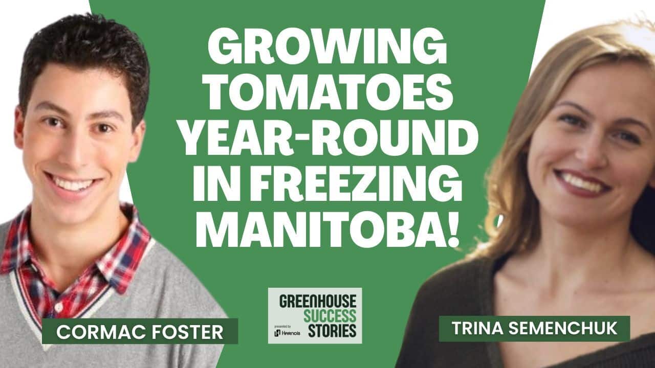 Vermillion Growers explains how they approached building a greenhouse in Manitoba despite long winters and extreme temperature swings.