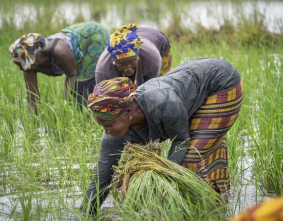 The African Development Fund approved a $14.64 million grant to support Project 2 of the Programme to Strengthen Resilience to Food and Nutrition Insecurity in the Sahel (P2-P2RS).