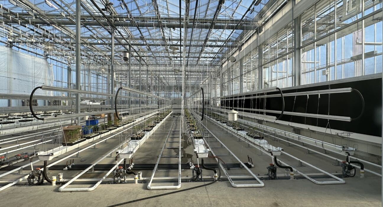 Learn how Liz Turner highlights key factors affecting urban agriculture, including water access and municipal policy constraints.