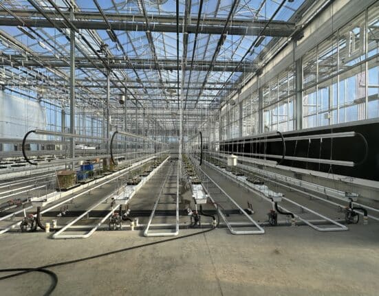 Learn how Liz Turner highlights key factors affecting urban agriculture, including water access and municipal policy constraints.