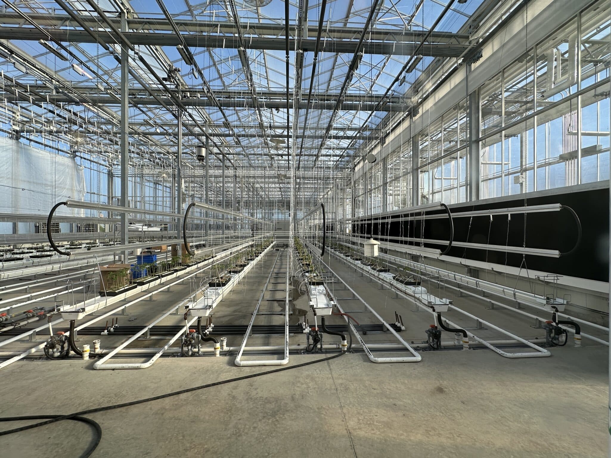 Learn how Liz Turner highlights key factors affecting urban agriculture, including water access and municipal policy constraints.