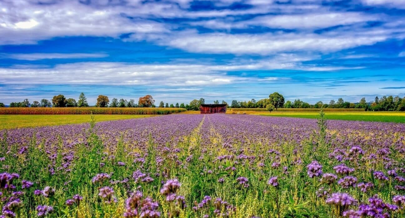 The NitroScope project has officially launched with a two-day meeting at Ghent University, bringing together 25 partners from 15 countries.