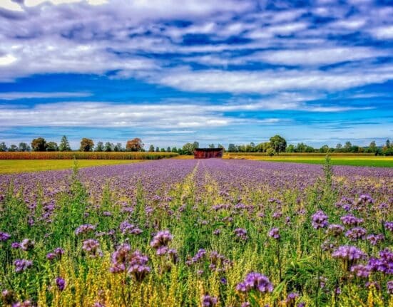 The NitroScope project has officially launched with a two-day meeting at Ghent University, bringing together 25 partners from 15 countries.