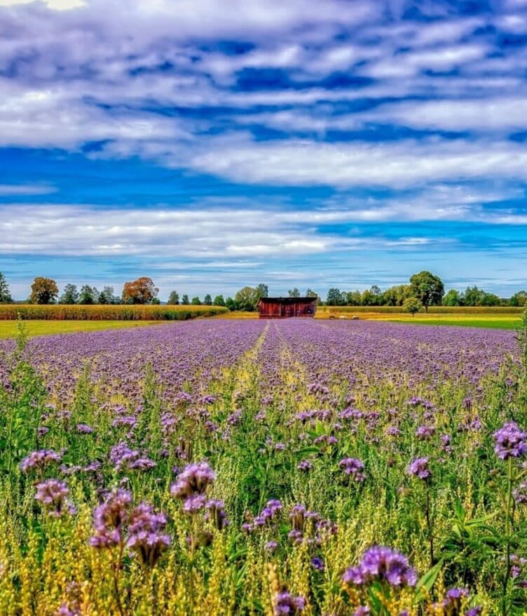 The NitroScope project has officially launched with a two-day meeting at Ghent University, bringing together 25 partners from 15 countries.