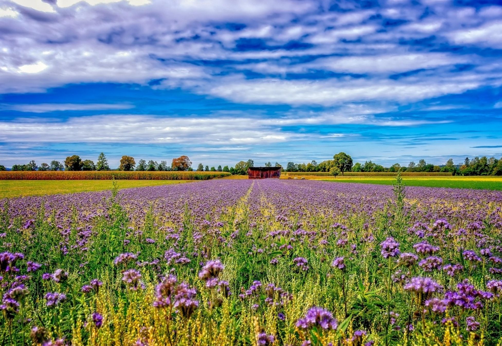 The NitroScope project has officially launched with a two-day meeting at Ghent University, bringing together 25 partners from 15 countries.