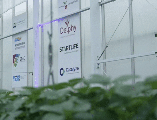 The HortiScience Innovation Center officially launched the HIC Venture Studio, designed exclusively to drive innovation in horticulture.