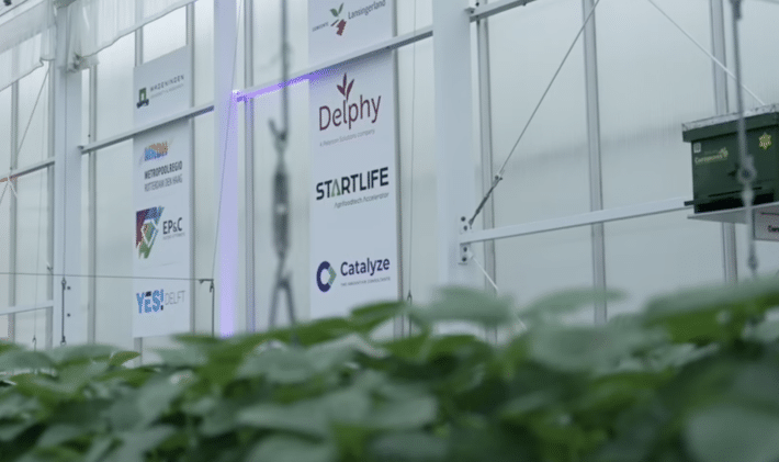 The HortiScience Innovation Center officially launched the HIC Venture Studio, designed exclusively to drive innovation in horticulture.