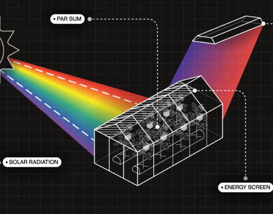 Source.ag has introduced Approximated PAR Sum, a data-reconstruction feature for high-tech greenhouses available to all source users.