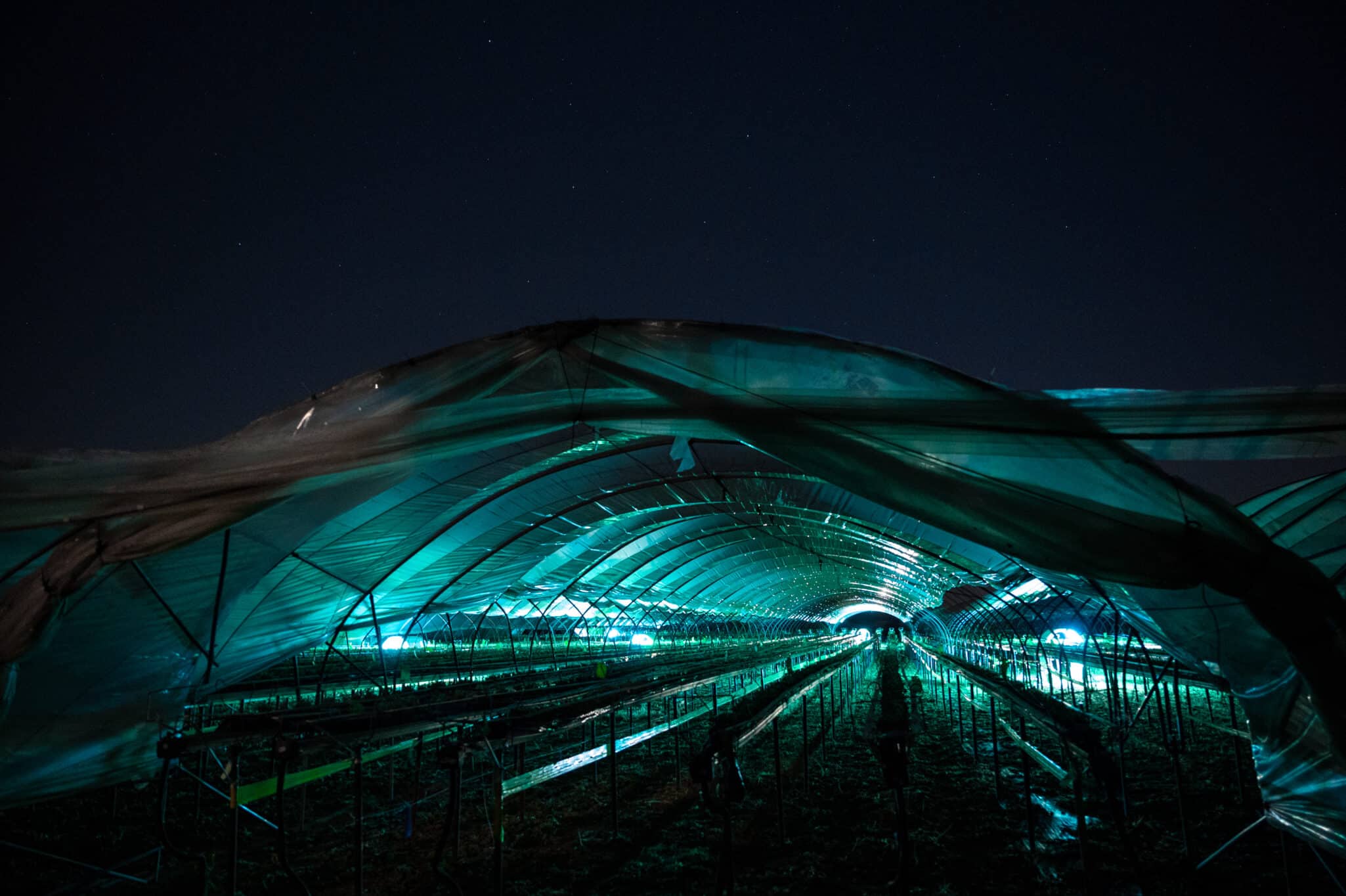 Explore how Pål Johan From transitioned Saga Robotics from research to commercial success in agriculture and robotics.