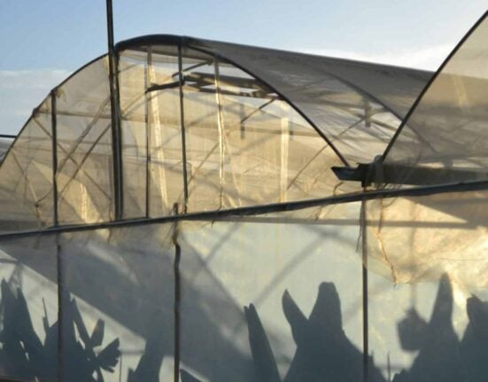 Explore Turkey Indoor Farming and its role in the fresh produce market, contributing significantly to EU imports and exports.