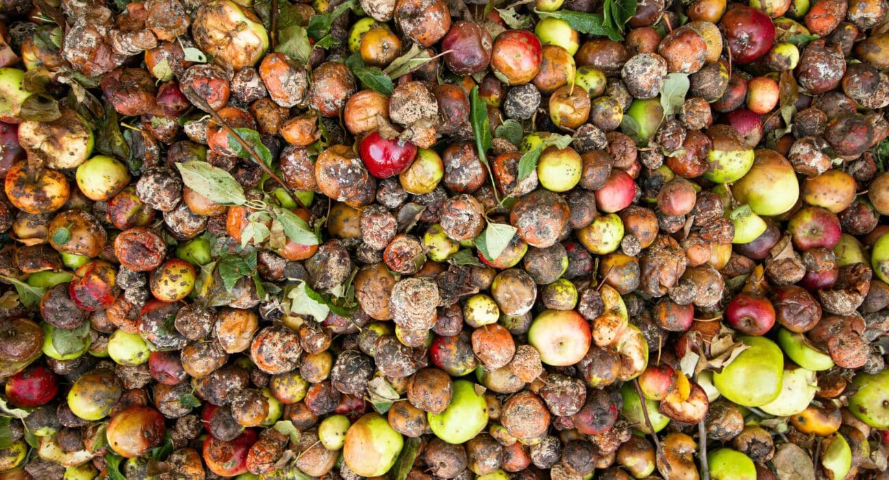 Kenyan agritech startup Farm to Feed raises $1.5M in seed funding to expand operations and reduce food loss.