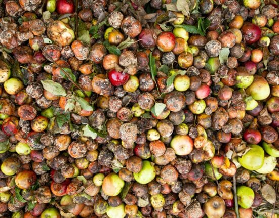 Kenyan agritech startup Farm to Feed raises $1.5M in seed funding to expand operations and reduce food loss.