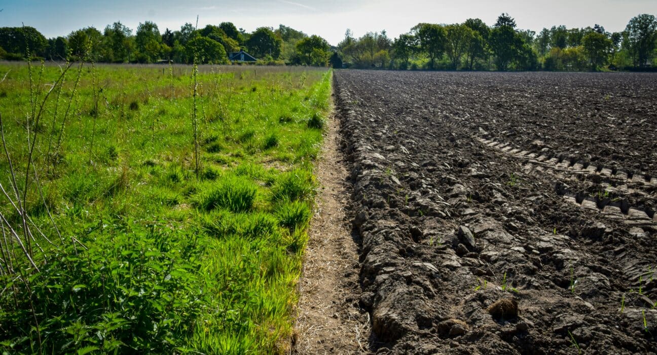 Tikehau Investment Management has finalized the Regenerative Agriculture Strategy at €560 million (US$652.85 million).